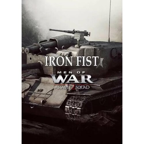 Men of War: Assault Squad 2 - Iron Fist DLC (Steam; PC; Регион активации РФ, СНГ, Турция)
