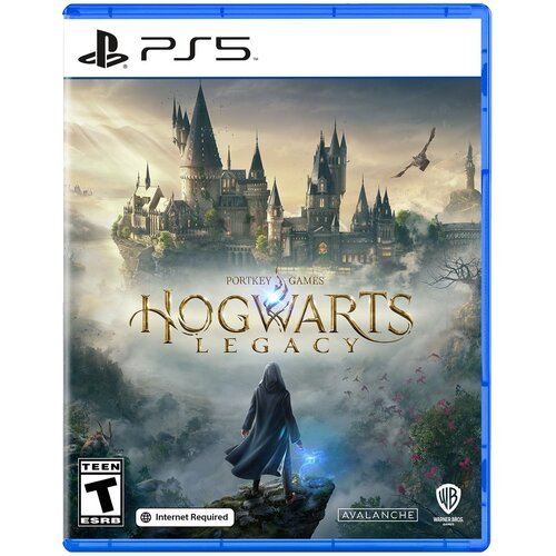 Игра Hogwarts Legacy Standard Edition для PlayStation 5 (русские субтитры)