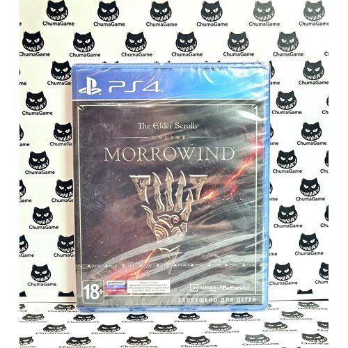 Игра MORROWIND - The Elder Scrolls PS4 Новый диск Английская версия