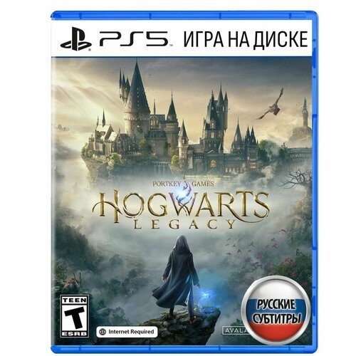 Игра Hogwarts Legacy (PlayStation 5, Русские субтитры)