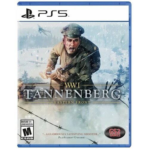 Игра WWI Tannenberg: Eastern Front для PlayStation 5