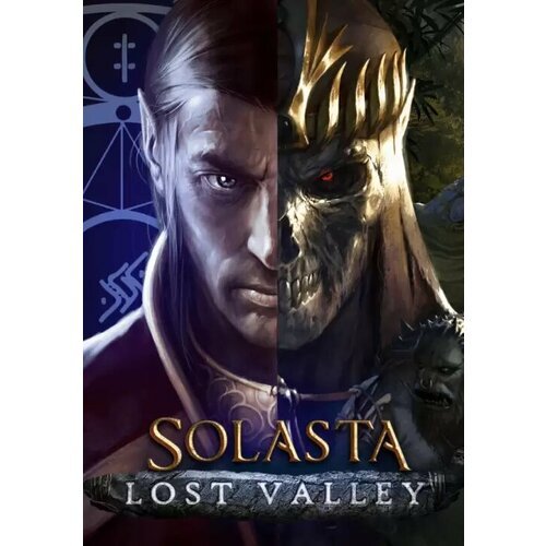 Solasta: Crown of the Magister - Lost Valley DLC (Steam; PC; Регион активации РФ, СНГ)